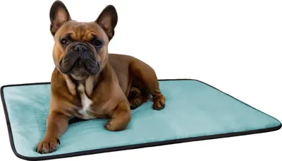 Produktbild von Aspero Hundedecke