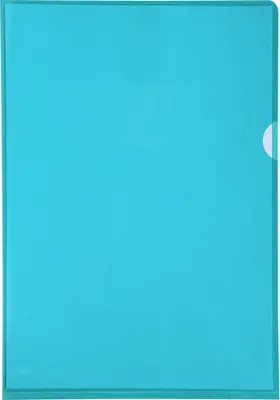 Image de Exacompta Etui carton de 100 pochettes coin PVC A4 Vert 661295E