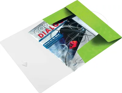 Immagine prodotto di Leitz 4599-00-54 4599 Cartella angolare WOW - A4, PP, verde metallizzato