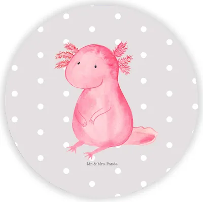 Produktbild von Mr. & Mrs. Panda Kühlschrankmagnet Axolotl Niedlich - Grau Pastell - Geschenk, whiteboardmagnet, rundmagnet, Lebensweisheit, Zufrieden, Weisheit, magnet für kühlschrank