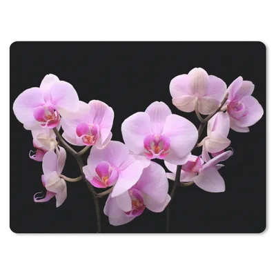 Produktbild von MuchoWow® Mauspad Mousepad Orchidee - Blumen - Rosa - Flora 23x19 cm - Mousepads - Maus Mat - Pad - Mausunterlage - Schreibtischunterlage - Mauspad