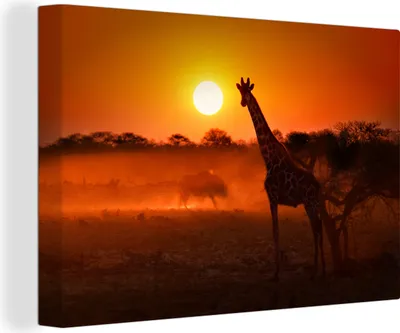 Produktbild von OneMillionCanvasses® - Leinwandbilder - 150x100 cm, Giraffe - Sonne - Savanne, Wandbilder Kunstdruck Wanddekoration
