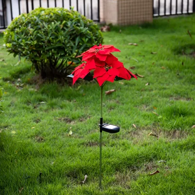 Immagine prodotto di Faretto solare da giardino, 5 LED a luce bianca, 21 cm a forma di fiore, per decorazioni natalizie e illuminazione da giardino
