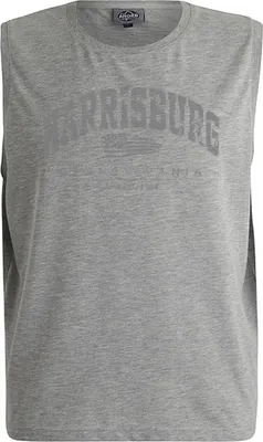 Produktbild von Übergrößen Tanktop Harrisburg Grau AHORN SPORTSWEAR Grey Melange 5XL