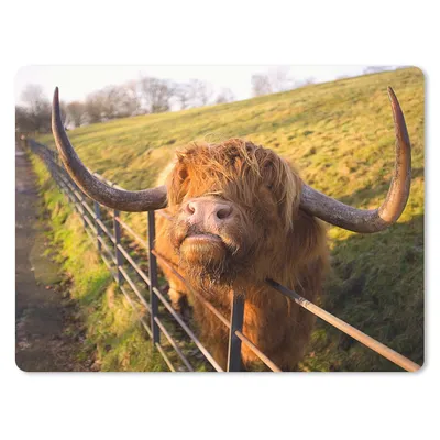 Produktbild von MuchoWow® Mauspad Mousepad Scottish Highlander - Zaun - Gras 40x30 cm - Mousepads - Maus Mat - Pad - Mausunterlage - Anti Rutsch
