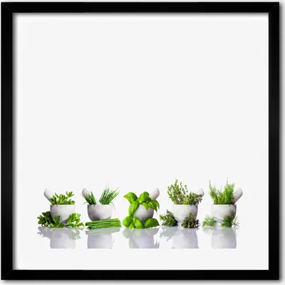 Produktbild von Bild - 50 cm x 50 cm - MDF - Rahmen, Wandkunst - Kräuter