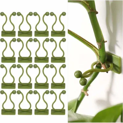 Produktbild von 100 Stück Rankclips für Kletterpflanzen, selbstklebende Pflanzenclips, grüne Ranken-Wandbefestigungsclips, Wandbefestigung, Pflanzenhakenclips, Pfahlclips, Wanddekoration