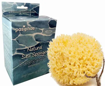 Image de Éponge de bain naturelle en loofah