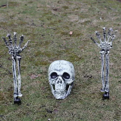 Produktbild von Skelett-Halloween-Dekoration – Realistische Schädeldekoration