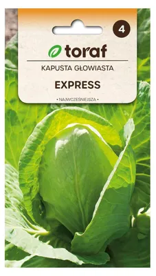 Obrázek produktu pro Bílá hlávková kapusta EXPRESS 1 g