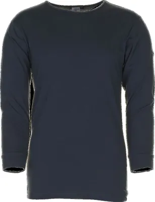Produktbild von Größe M Herren Planam Funktionsunterwäsche Shirt langarm 190 g/m²  grau Modell 2251