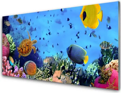 Produktbild von Acrylglasbilder 100x50 Wandbild Druck Korallenriff Natur