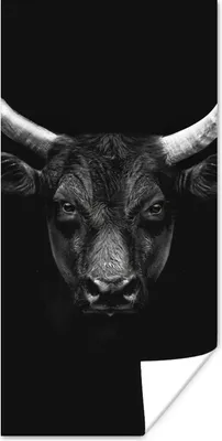 Produktbild von MuchoWow® Poster Tiere - Stier - Schwarz - Weiß - Porträt 20x40 cm - Plakat - Foto