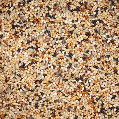 Productafbeelding van Versele Volière Classic, 20 kg