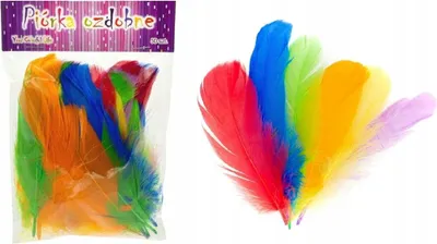 Produktbild von 50 Stück Federn zum Basteln und Dekorieren, 10-12 cm, bunte Farbmischung