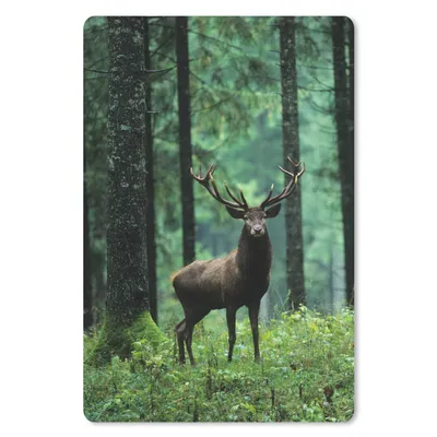 Produktbild von MuchoWow® Mauspad Mousepad Hirsche - Wald - Bäume - Tiere - Natur 18x27 cm - Mousepads - Maus Mat - Pad - Mausunterlage