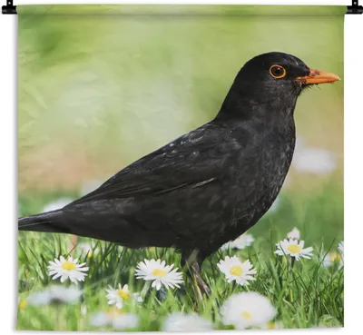 Produktbild von MuchoWow® Wandteppich Wandbehang Vogel - Amsel - Blumen 150x150 cm Tapisserie Dekoration Wandtuch - Wohnaccessoires - Modernes