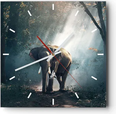 Produktbild von Wanduhr - Quadrat - Glasuhr - elefant natur - 40x40cm - Schleichendes Uhrwerk - Lautlos - zum Aufhängen bereit - Dekoration Modern - Wanddekoration aus Glas - C3AC40x40-3972