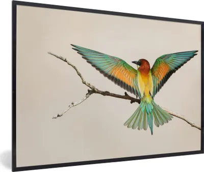 Produktbild von MuchoWow® MuchoWow® Gerahmtes Poster Vogel - Zweig - Grün 90x60 cm - Poster mit zchwarzem Bilderrahmen - Fotorahmen - Foto-Plakat
