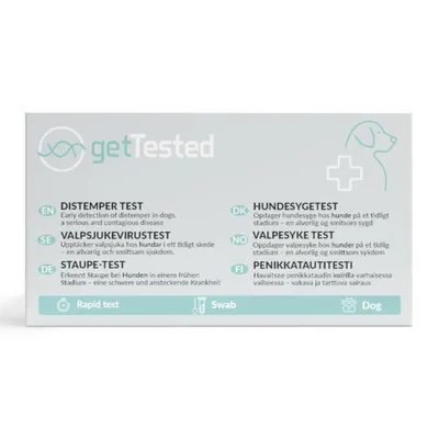 Produktbild von Staupe Schnelltest Hund – CDV Antigen-Test aus Nasen- oder Augensekret