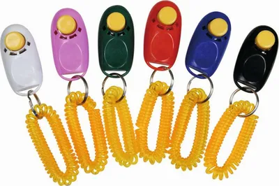 Image de Clicker Gloria