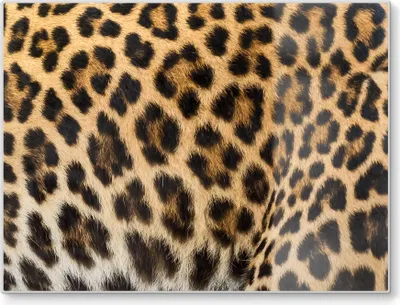 Produktbild von DEQORI Schneidebrett Glas 40x30 cm 'Muster der Wildnis' Schneideplatte Servierplatte groß