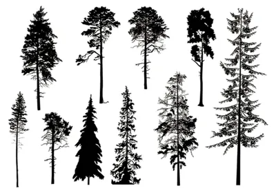 Produktbild von Zubehör zur Kartenherstellung, Bastelstempel, 11 x 16 cm, transparenter Baumstempel für Scrapbooking