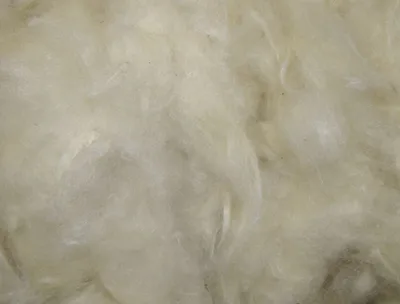 Immagine prodotto di Nobby Kapokwolle 50 g