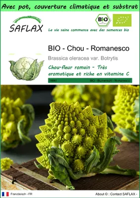 Image de SAFLAX Garden to go -- Chou - Romanesco - 50 graines - Brassica