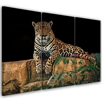 Produktbild von Triptychon auf leinwand tiere - orange 150x100 cm Feeby orange wandbild bereit zum aufhängen