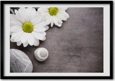 Produktbild von Bild - Bilderrahmen - 100 cm x 70 cm - MDF - Rahmen - Foto - Wandkunst Gerbera