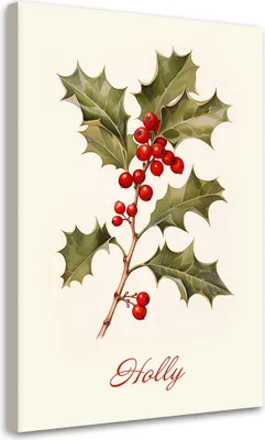 Produktbild von Leinwandbild  Weihnachtspflanze 40x60 Feeby Beige bild für die wand bereit zum aufhängen