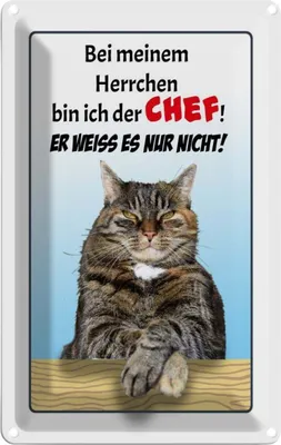 Produktbild von vianmo Blechschild 18x12 cm Katze bei meinem Herrchen Chef Tier Haustier