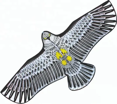Image de SPORTO Cerf-volant - aigle