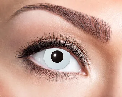 Produktbild von Jahreslinse 4250428862544 bis zu 12 Monate verwendbar