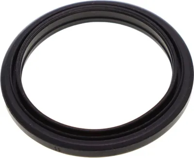 Image de DeLonghi AS00005075 (=5313221491) Joint pour machine espresso, porte-filtre