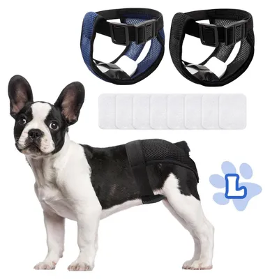Immagine prodotto di Solidchoice - Pannolini riutilizzabili per cani con 6 salviette igieniche