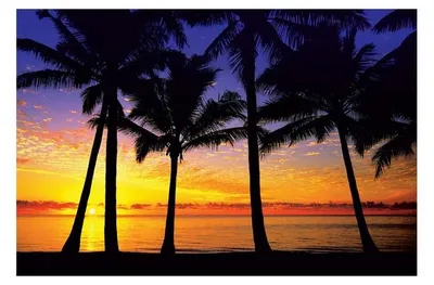 Image de Solitary Sunrise - 61x91,5cm - Affiche Poster