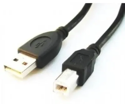 Produktbild von Gembird CCP-USB2-AMBM-6, 1,82 m, USB A, USB B, Schwarz