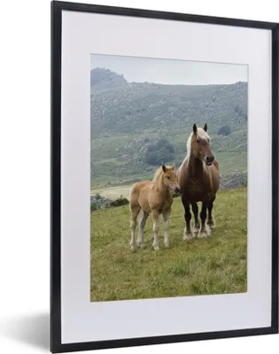 Produktbild von MuchoWow® MuchoWow® Gerahmtes Poster Haflingerpferd und sein Fohlen 30x40 cm - Poster mit zchwarzem Bilderrahmen - Wandposter Schlafzimmer