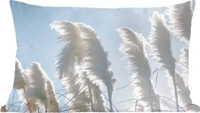 Produktbild von MuchoWow® Zierkissen Sofakissen Wohnzimmer Dekokissen 50x30 cm Himmel - Gras - Pampasgras - Wohnzimmerdekoration - Polster mit Photo