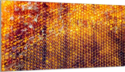 Image de Plaque de recouvrement pour cuisinière 90x52 Vitrocéramiquefeld Couverture anti-éclaboussures Plaque en verre Deko Planche à découper, Noir Orange