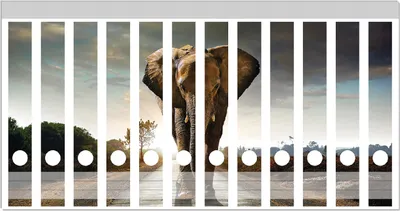 Produktbild von Wallario Ordnerrücken Sticker, selbstklebend für schmale Ordner, 12 Stück, Motiv Elefant bei Sonnenaufgang in Afrika