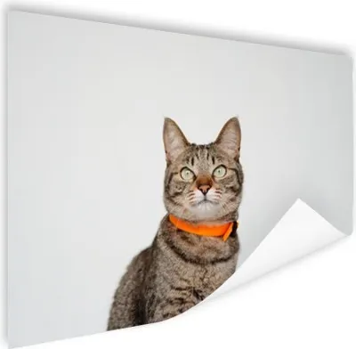 Produktbild von MuchoWow® Poster Katze - Halskette - Orange - Mädchen - Kinder - Jungen - Kinder 120x90 cm - Wandbild
