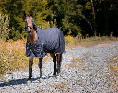 Produktbild von RIDING WORLD Oxford wasserdichte Decke 0 g, Farbe:Schwarz, Größe:Rückenlänge 135 cm Polyfil 0 g