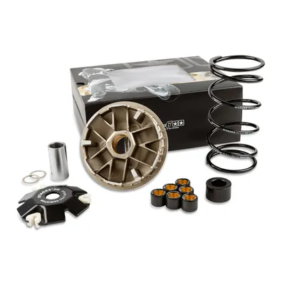 Produktbild von STAGE6 SPORT PRO Variator für Piaggio