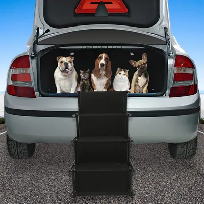 Produktbild von Hunderampe für große und kleine Hunde, Treppe für Auto, Sofa oder Bett, rutschfest und bis 80 kg belastbar
