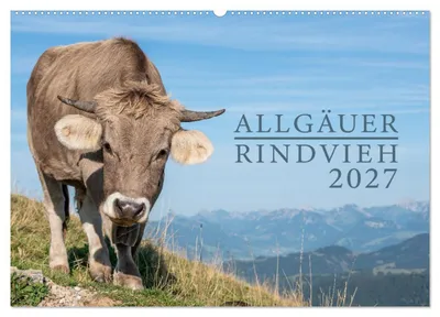 Produktbild von Allgäuer Rindvieh 2027 (Wandkalender 2027 DIN A2 quer), CALVENDO Monatskalender