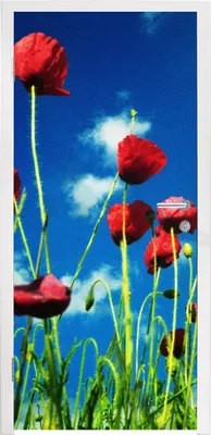 Produktbild von MuchoWow® Türtapete Selbstklebende Türfolie Mohnblumen für einen blauen Himmel 90x205 cm Türposter Türaufkleber Klebefolie Türklebefolie - Türaufklebern