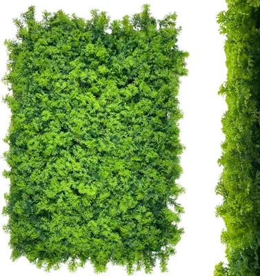 Obrázek produktu pro Umělá rostlina stěna Sedum 60x40cm